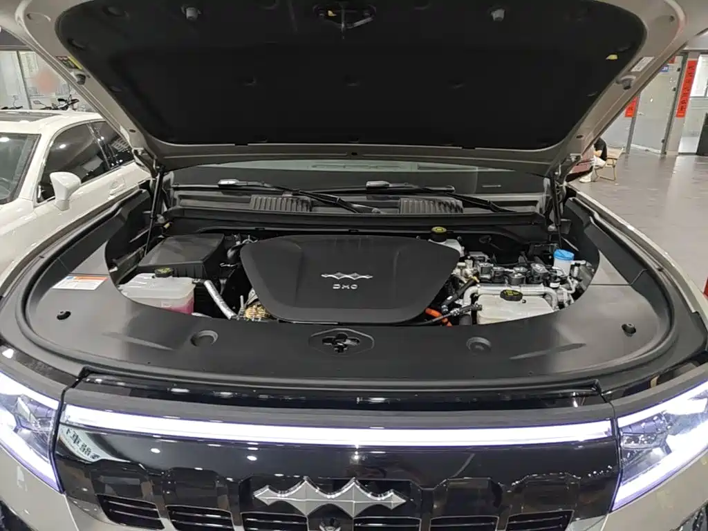 Fang Cheng Bao Leopard 8 — миниатюра 20