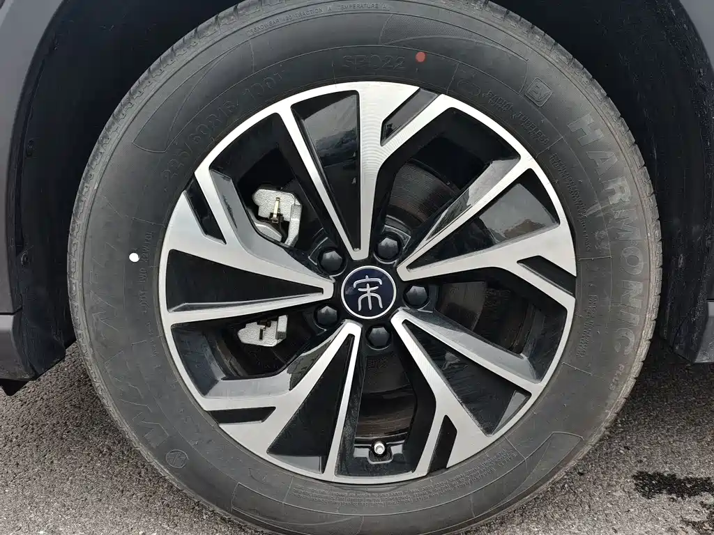 BYD Pro New Energy - фото 3