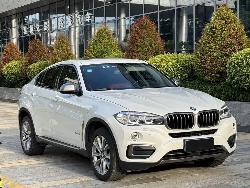 BMW X6 2015 xDrive35i Lead
