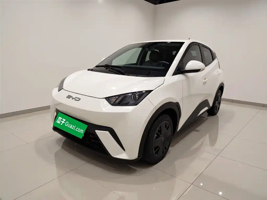 Byd Seagull 2024