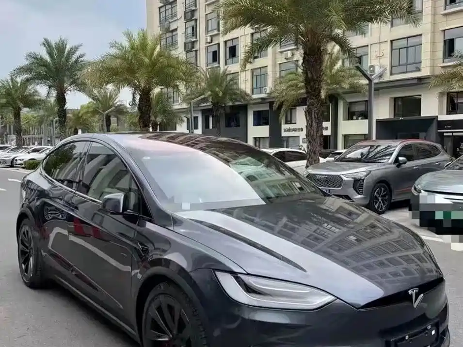 Tesla Model X — миниатюра 3