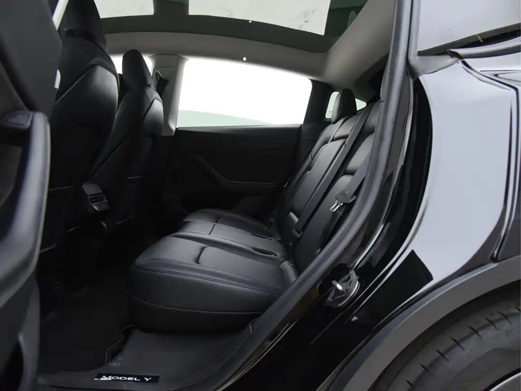Tesla Model Y — миниатюра 16
