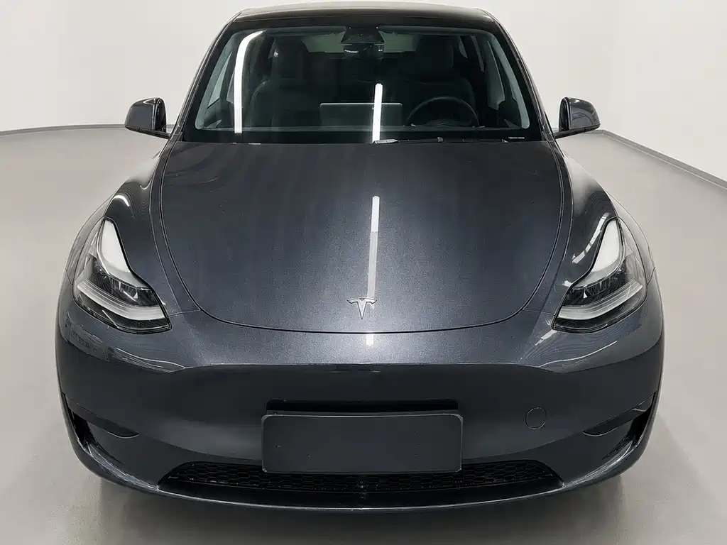 Tesla Model Y — миниатюра 2