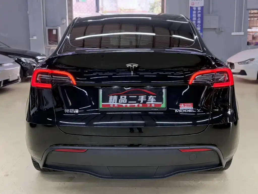 Tesla Model Y — миниатюра 6