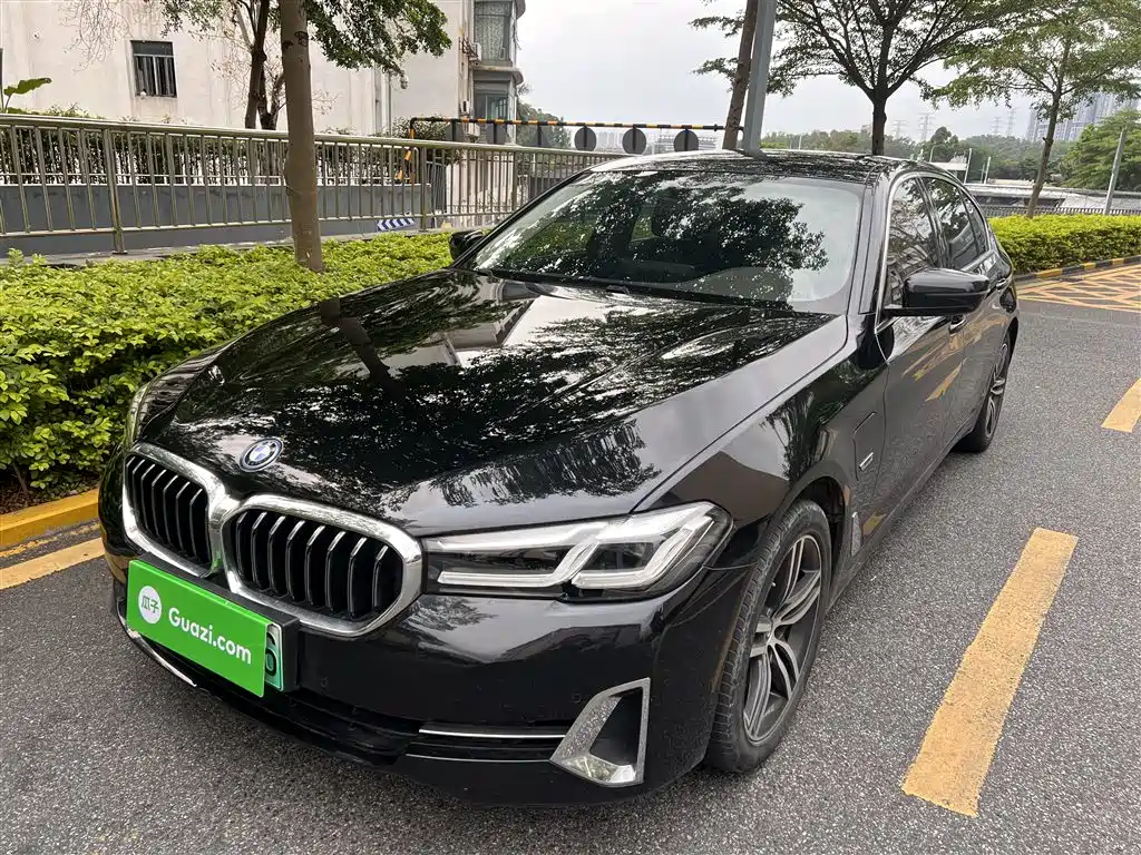 BMW 5 Series New Energy 2021