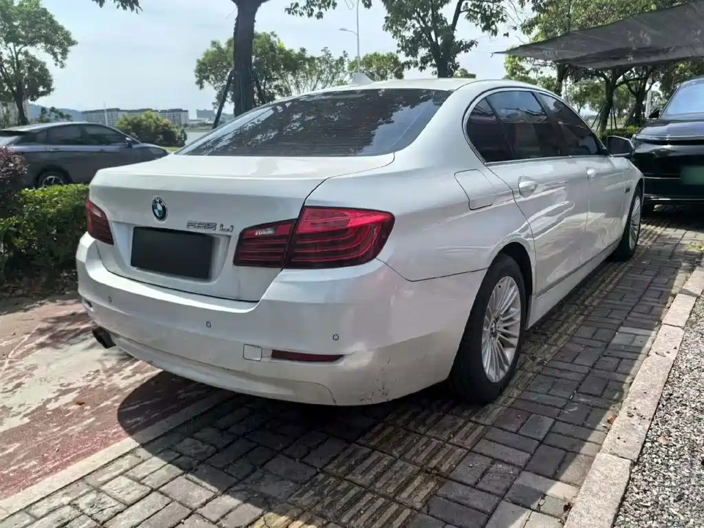 BMW 5 Series 5 2014 525Li Lead
