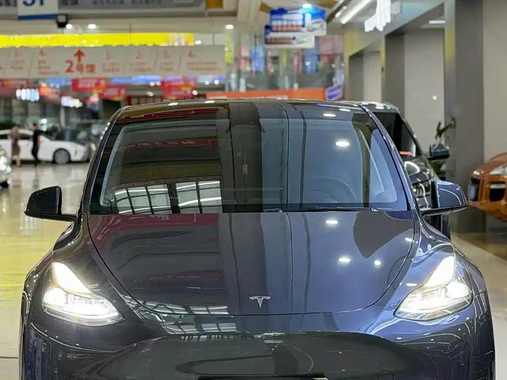 Tesla Model Y — миниатюра 2