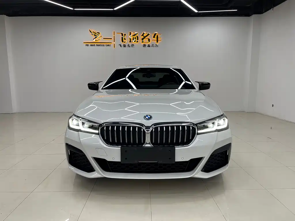 BMW 5 SERIES NEW ENERGY