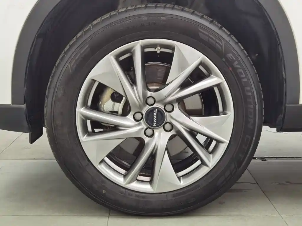 Haval H6 New Energy — миниатюра 17