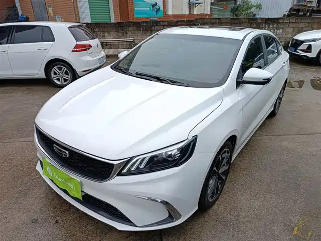2021 Geely Binrui