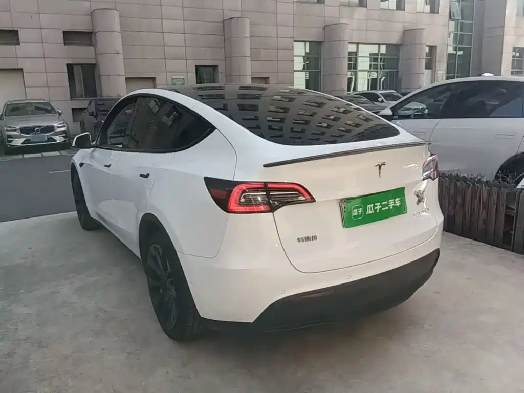 Tesla Model Y — миниатюра 5
