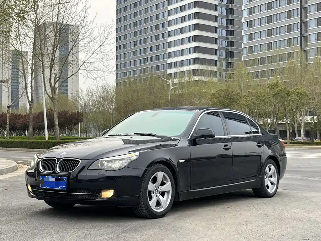 BMW 5 Series 2009
