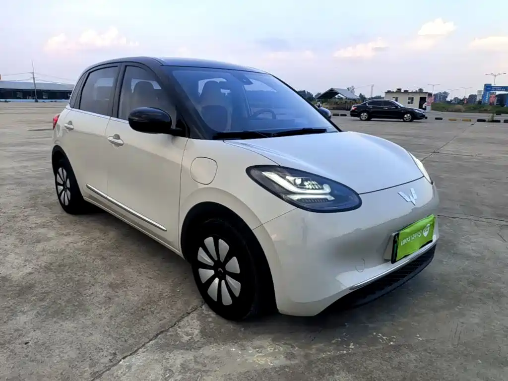 Wuling Binguo 2023 333km +