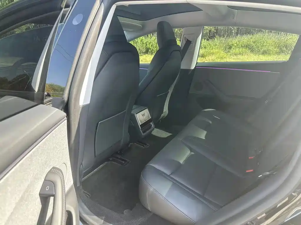 Tesla Model 3 — миниатюра 7