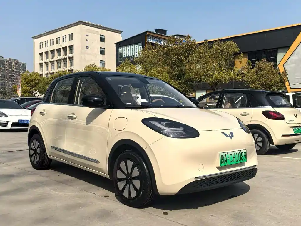 Wuling Binguo 2025 333km Enjoy