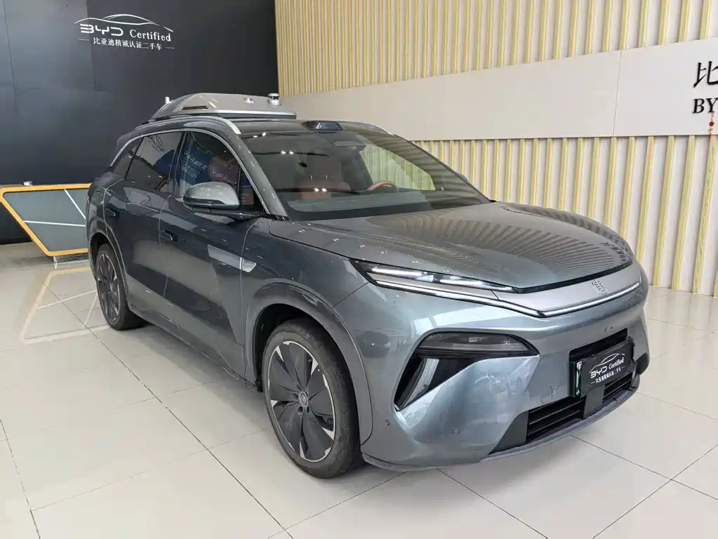 BYD Дон Л. — миниатюра 3