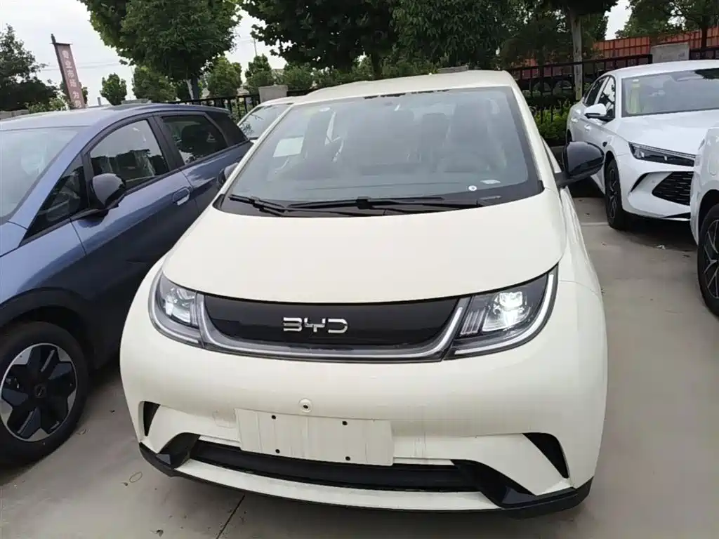 BYD Dolphin 2025 420km Freedom