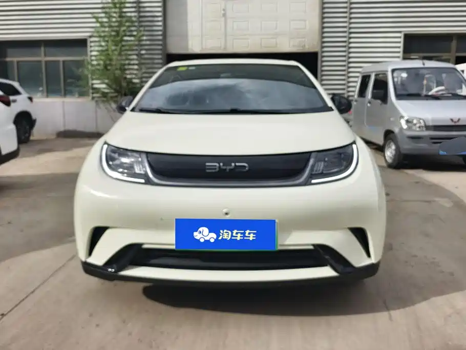 BYD Dolphin 2025 420km Freedom
