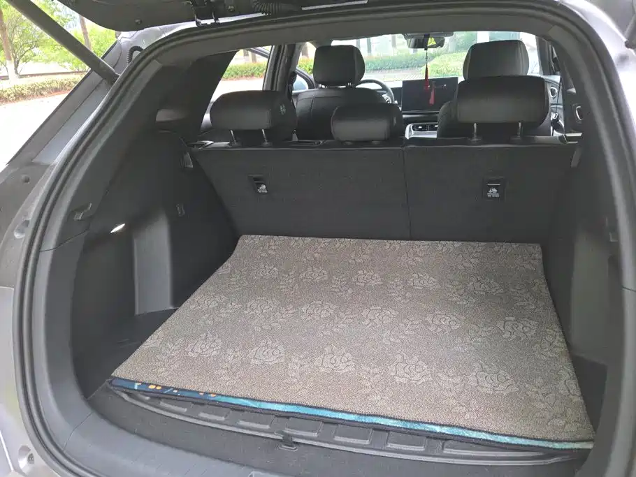 BYD Sealion 06 — миниатюра 4