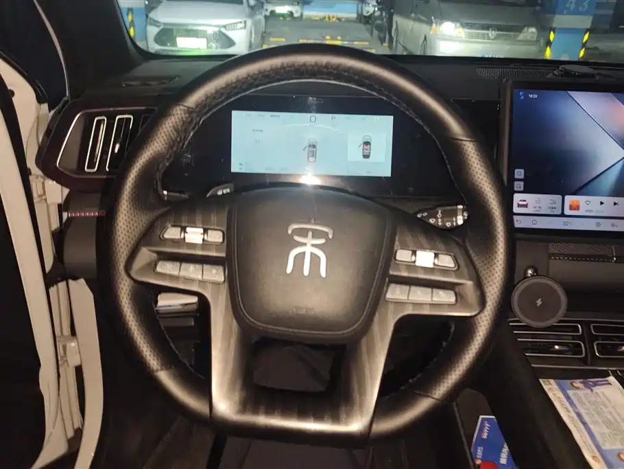 BYD SONGJIANG NEW ENERGY