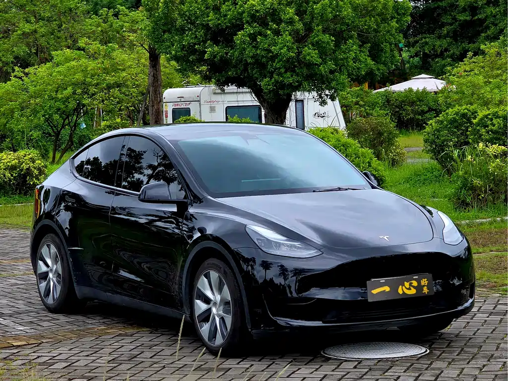 Tesla Model Y — миниатюра 3