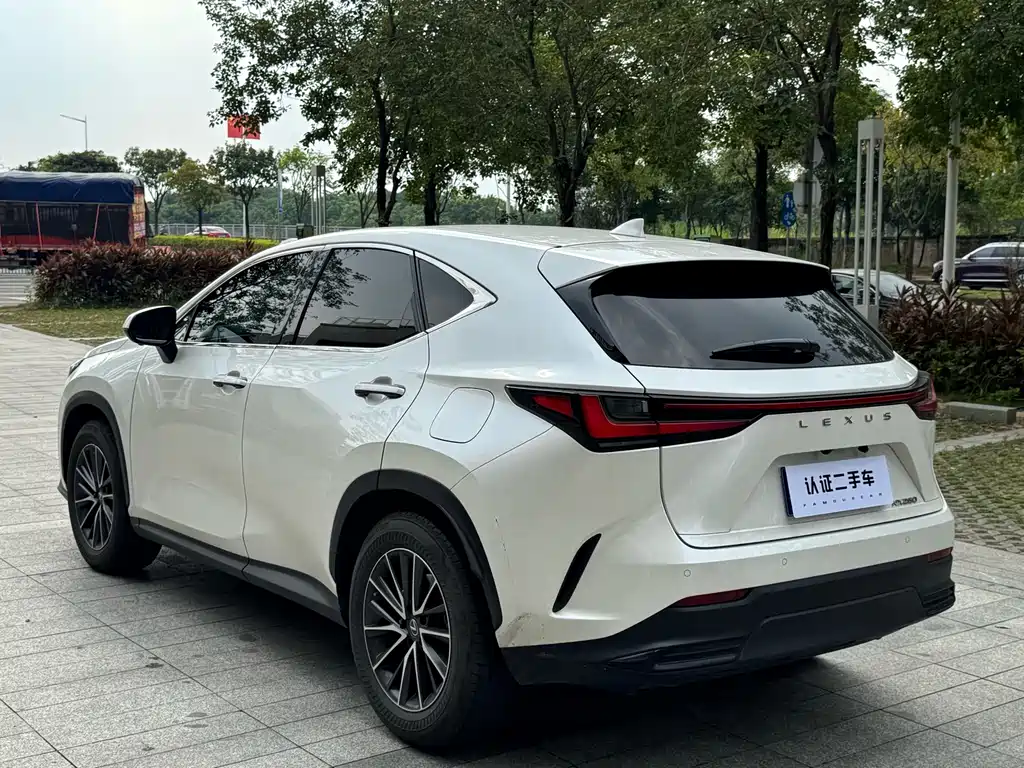 Lexus NX — миниатюра 11