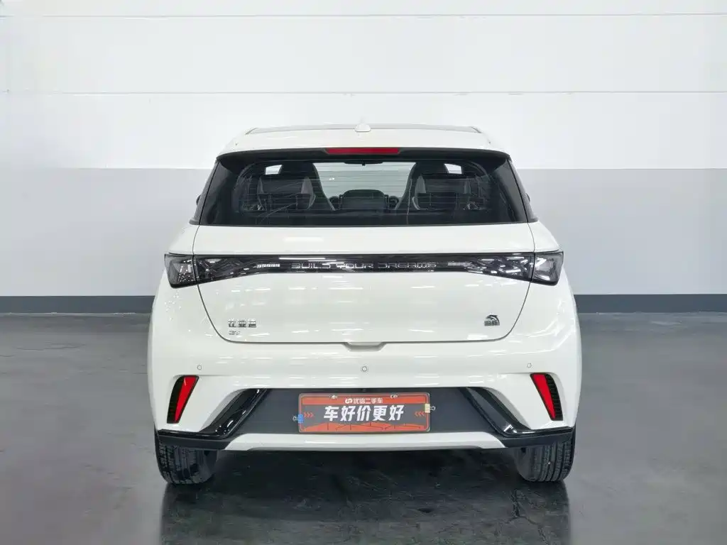 BYD Dolphin 2021 405km Fashion