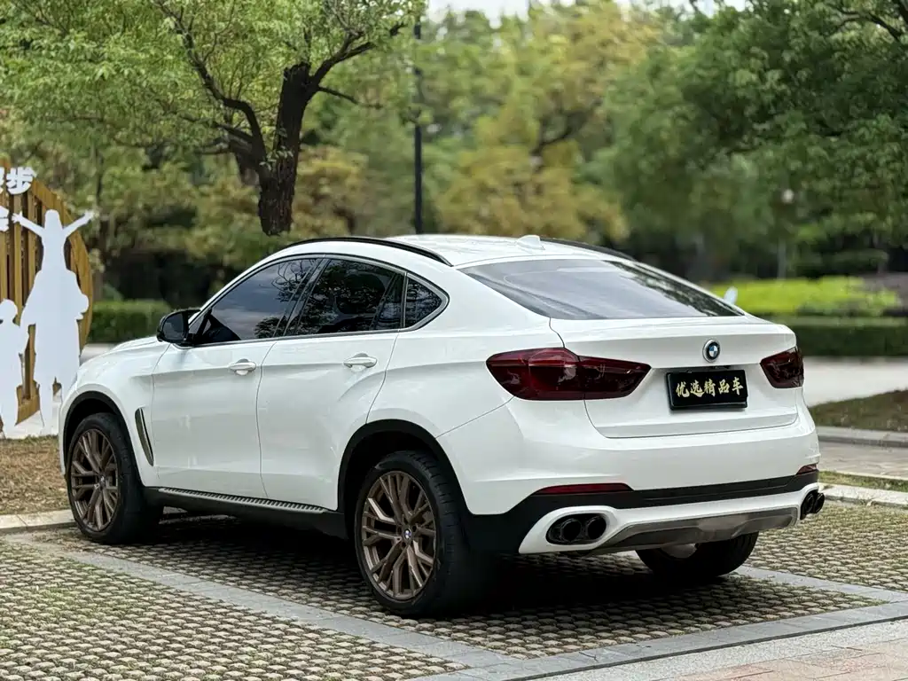 BMW X6 2017 xDrive35i Luxury