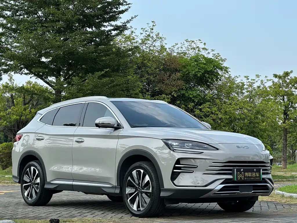 BYD PLUS New Energy — миниатюра 3