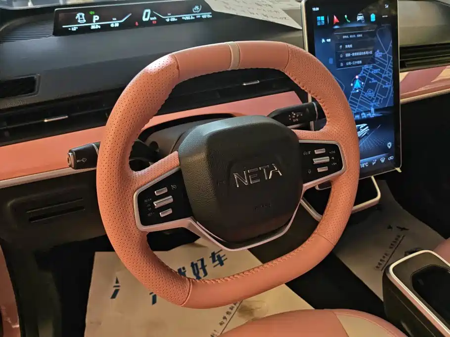 Neta Neta V — миниатюра 15