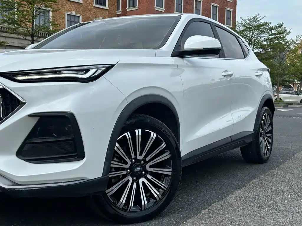 Oshan Oushang X5 — миниатюра 11