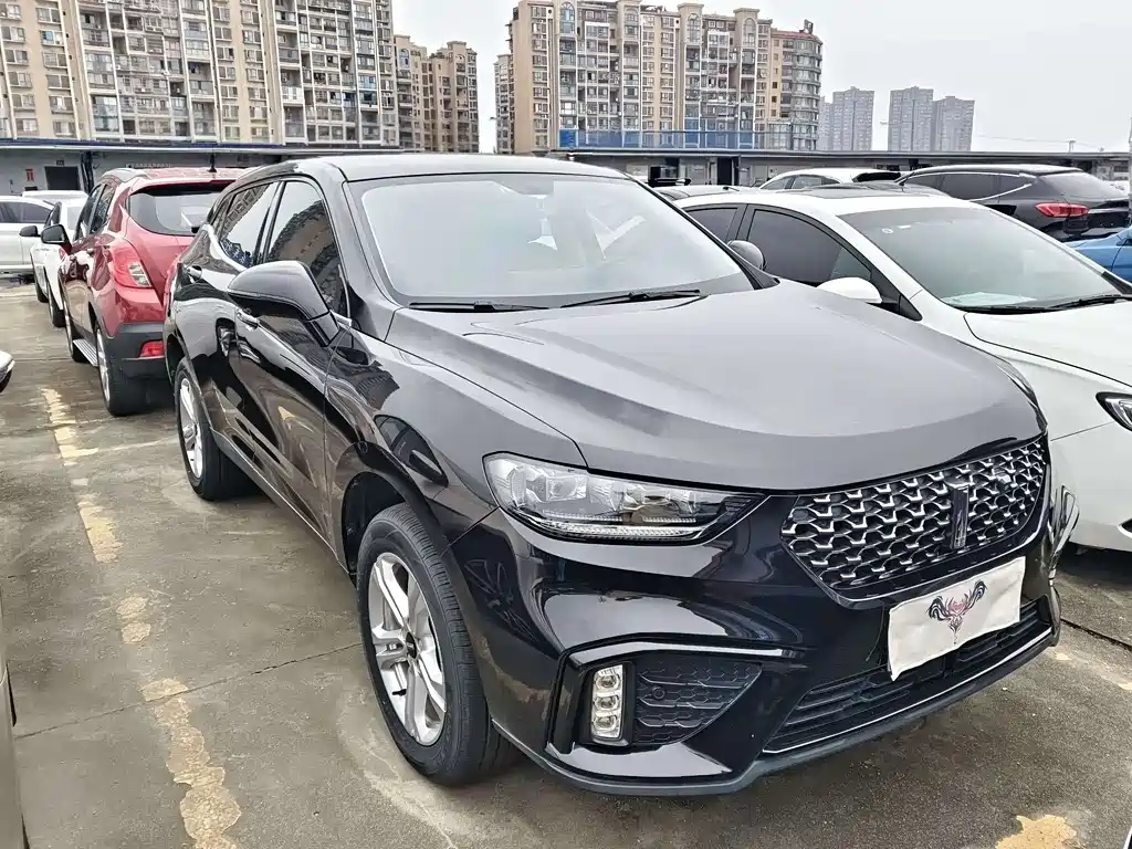 Wey Wey VV5 — миниатюра 3