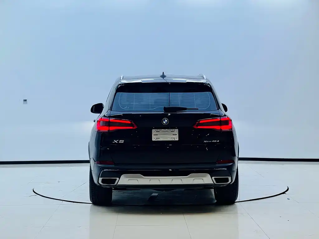 BMW X5 New Energy (Import) — миниатюра 8