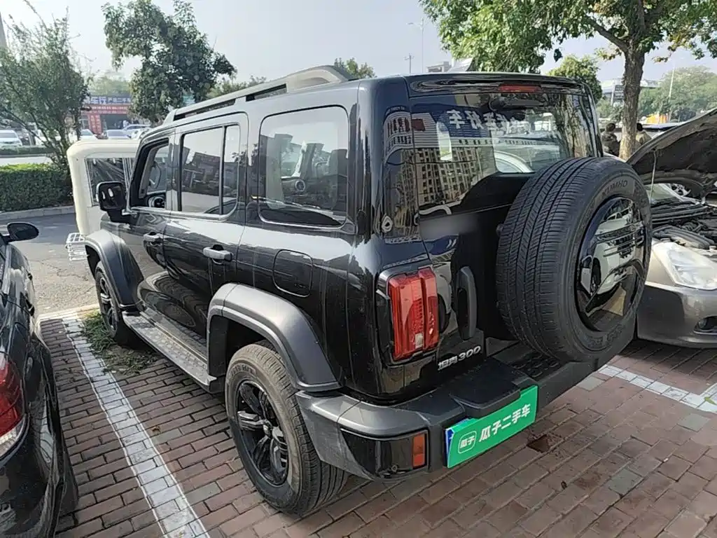 Tank Tank 300 — миниатюра 5