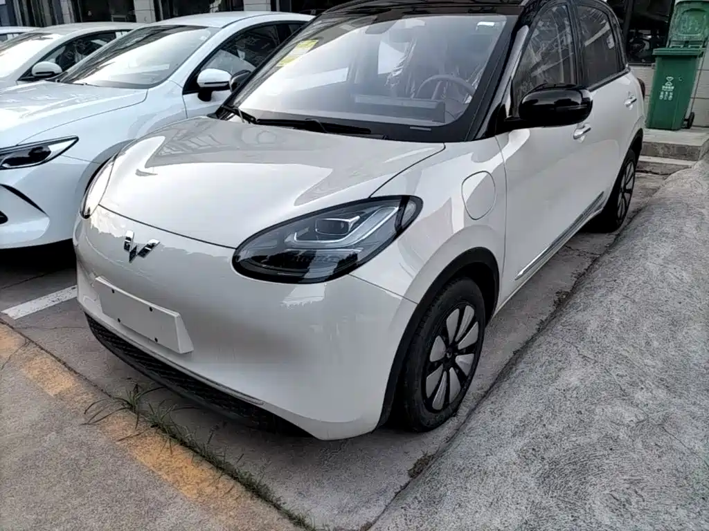 Wuling Binguo 2025 333km Enjoy