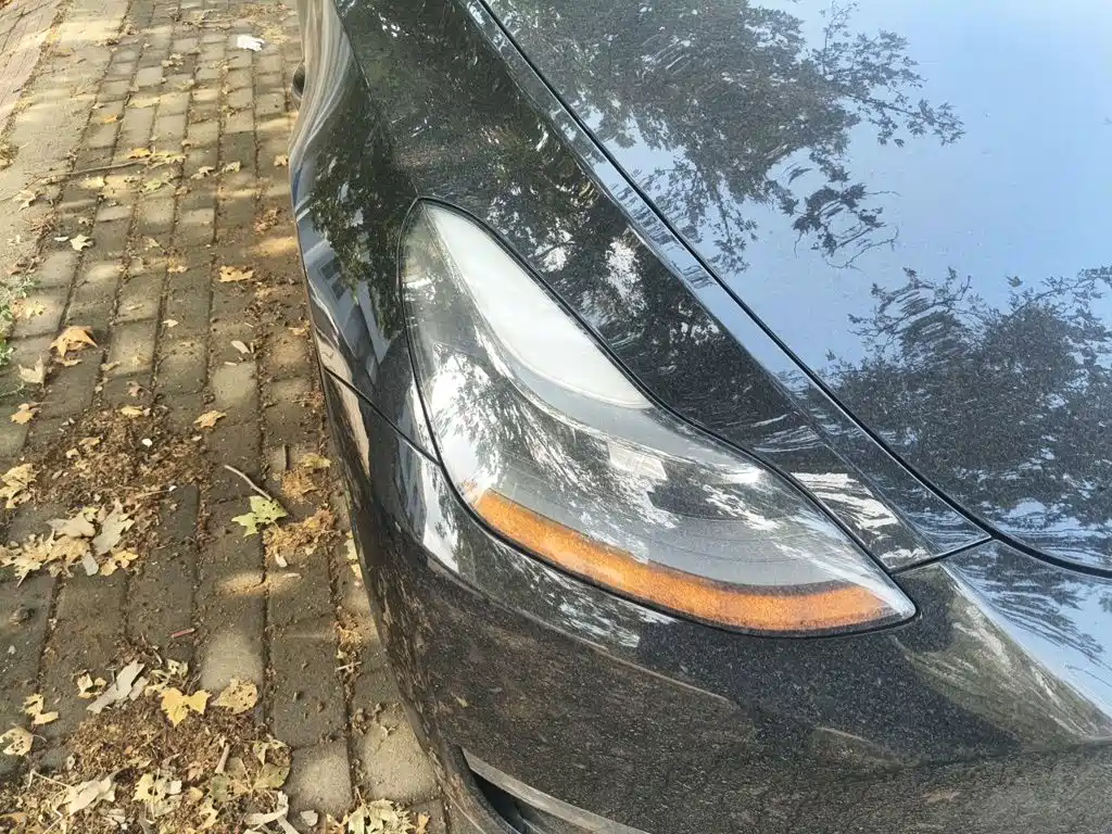 Tesla Model Y — миниатюра 7