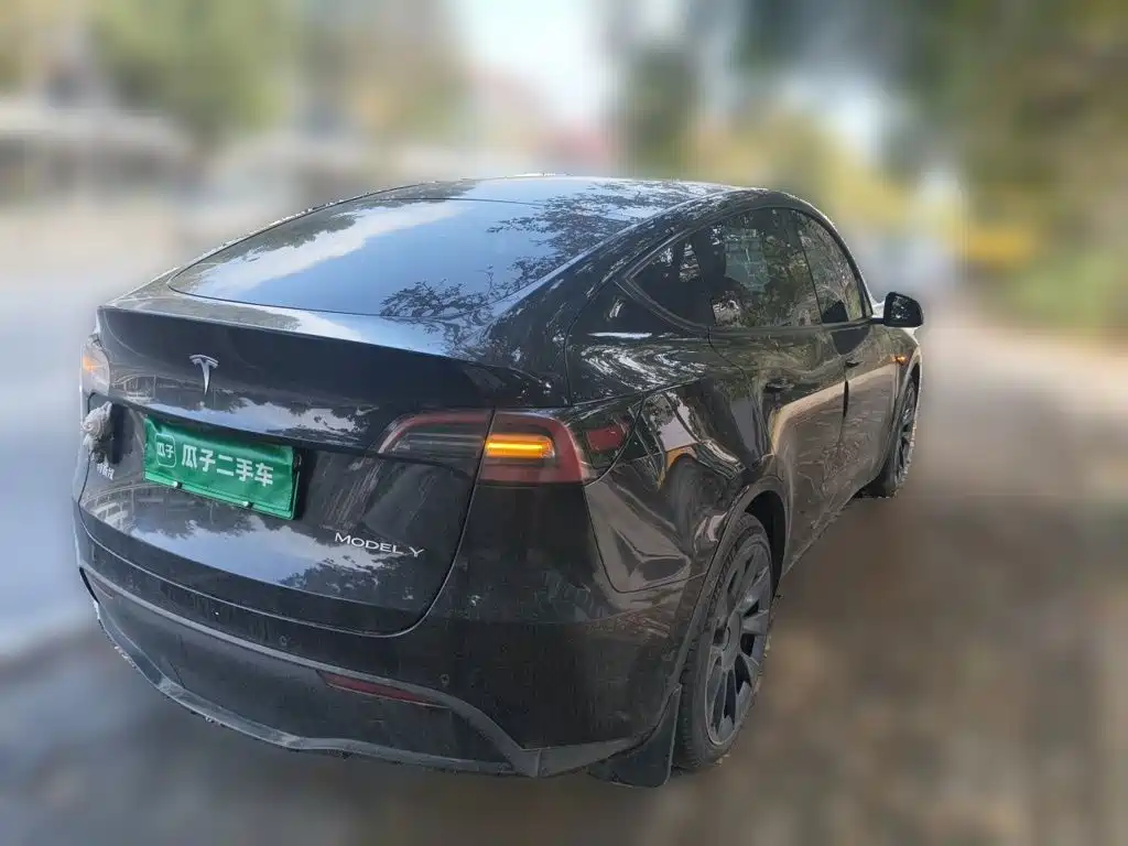 Tesla Model Y — миниатюра 6