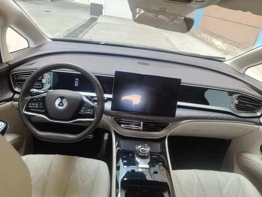 Denza Denza D9 — миниатюра 14