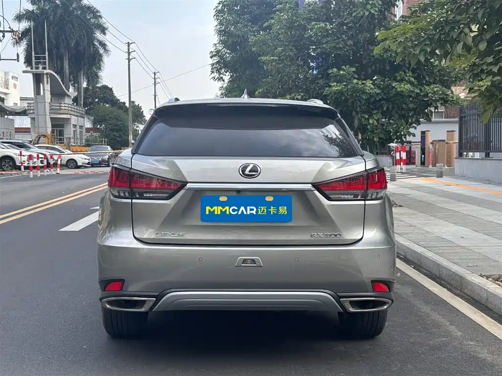 LEXUS RX