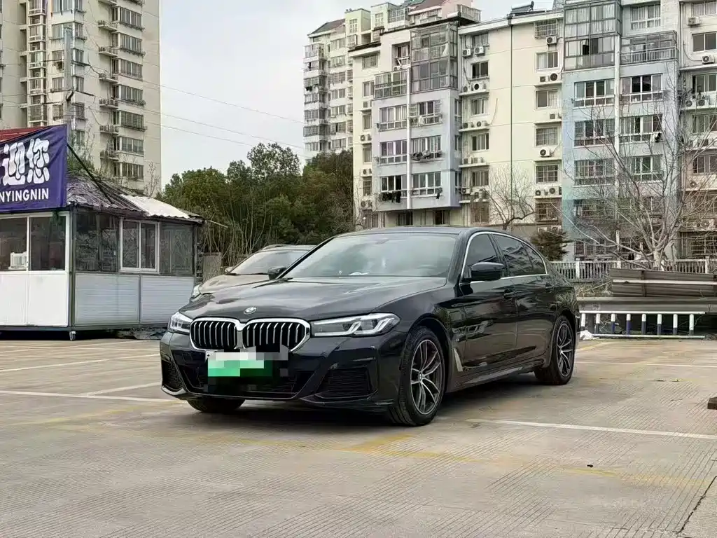 BMW 5 Series New Energy 2021