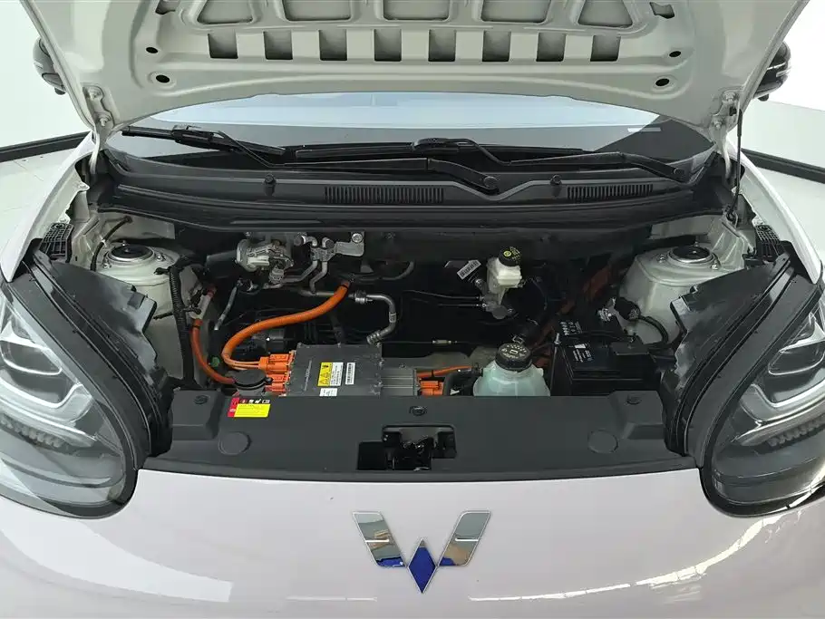 Wuling Binguo 2023 333km