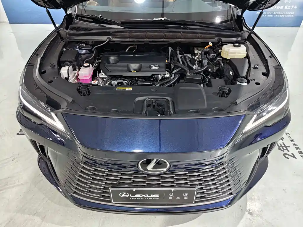Lexus RX — миниатюра 2