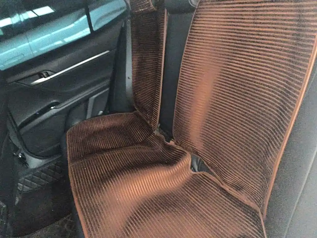 Toyota Camry — миниатюра 18