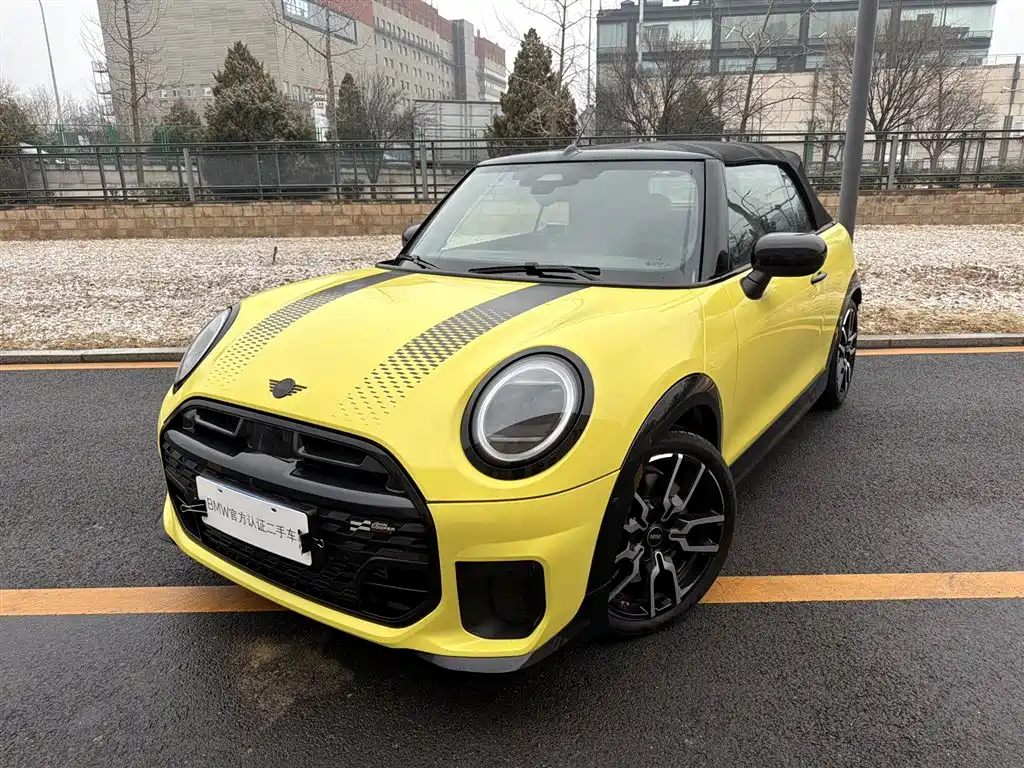 Mini Mini 2025