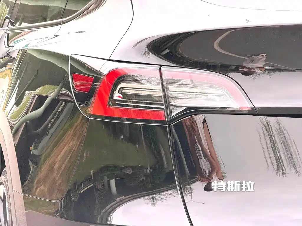 Tesla Model Y — миниатюра 5
