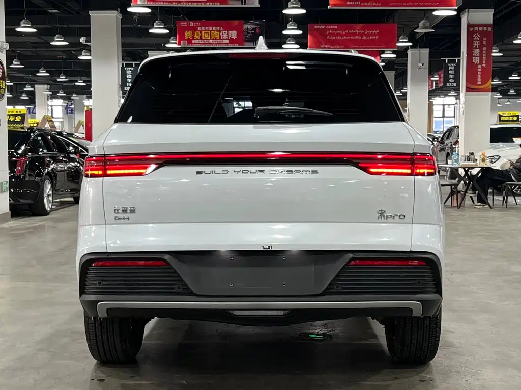 BYD SONGJIANG NEW ENERGY