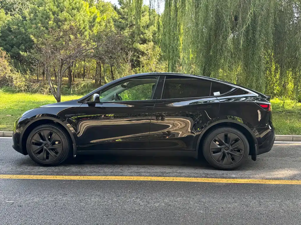 Tesla Model Y — миниатюра 4