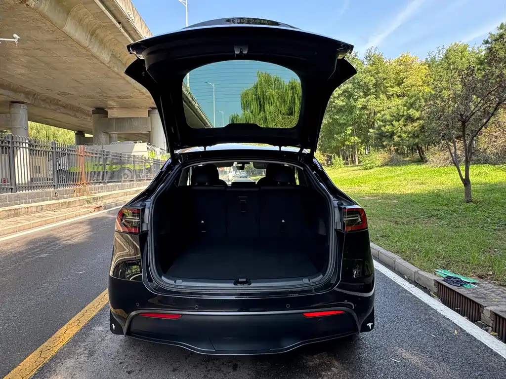 Tesla Model Y — миниатюра 15