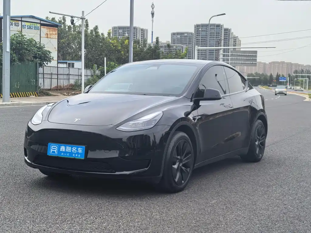 Tesla Model Y — миниатюра 3