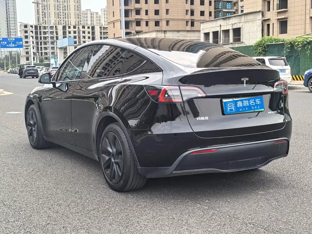 Tesla Model Y — миниатюра 28